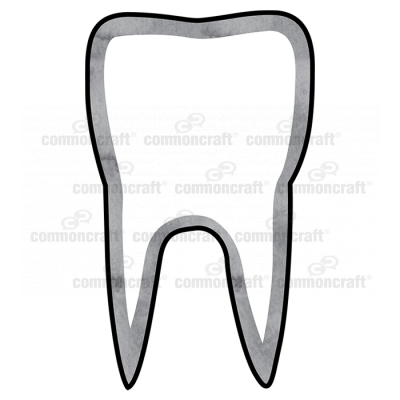 Tooth Single